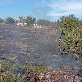 Queima de lixo é principal causa de incêndios na vegetação em Presidente Prudente, alerta Defesa Civil